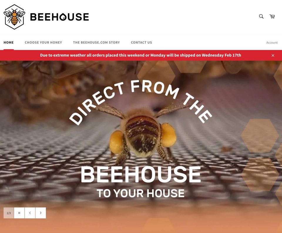 From a great domain name to a great business with Beehouse.com