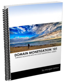 Domain Monetization 101