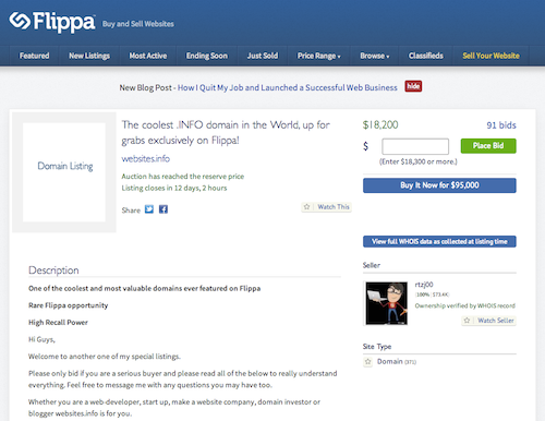 Websites.info on Flippa