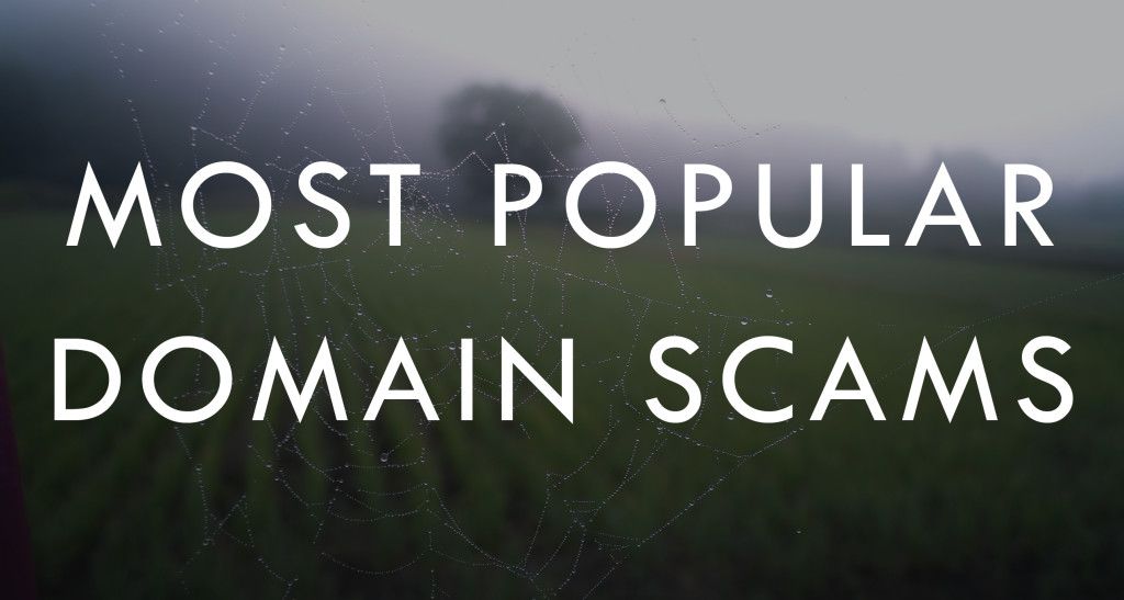 Most Popular Domain Scams