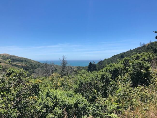 hiking-in-point-reyes