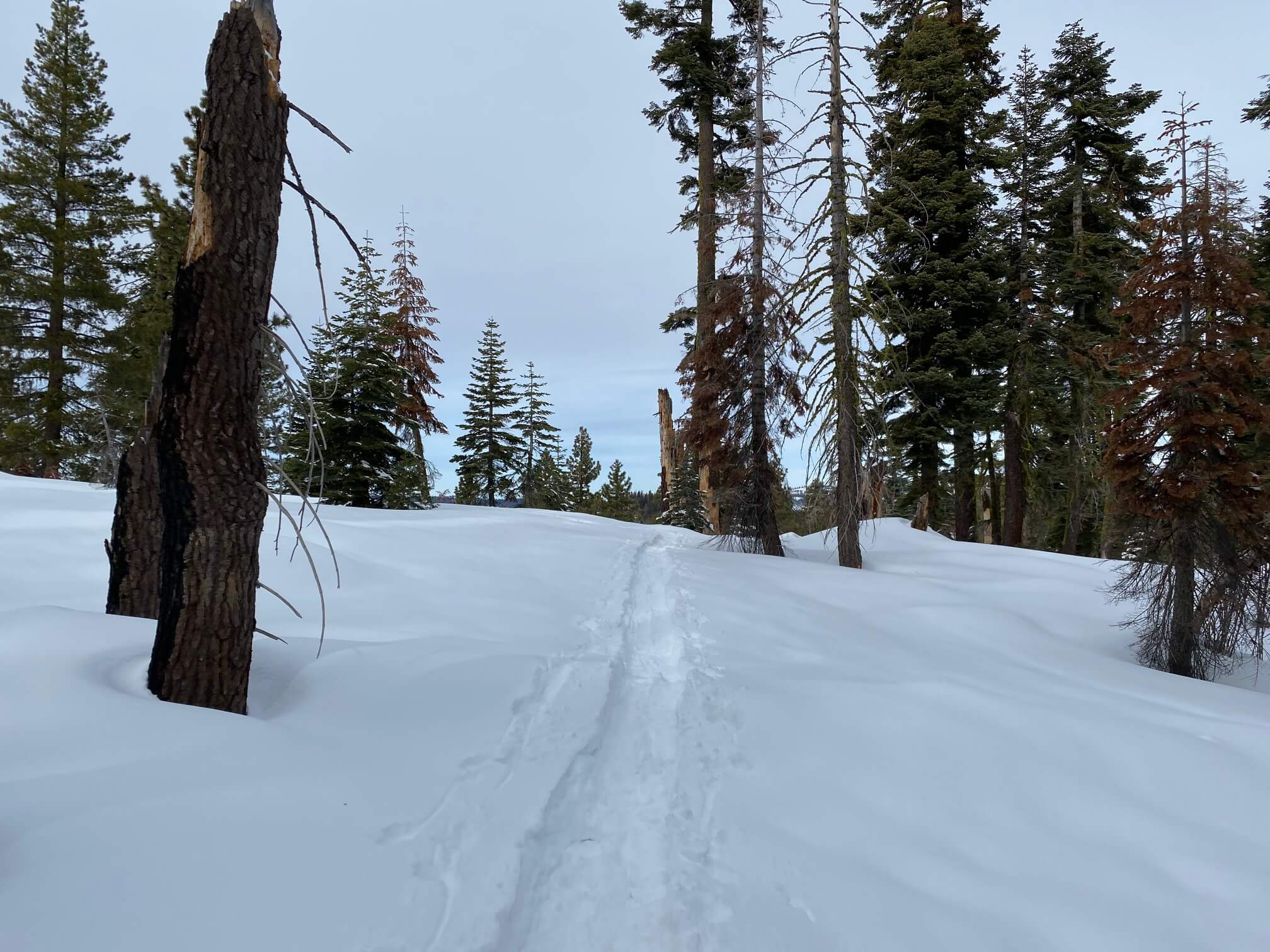 Hiking in the snow in Yosemite