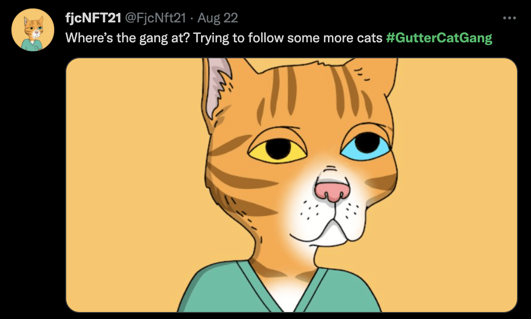 Gutter Cats Twitter Following